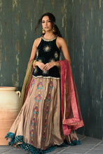 Load image into Gallery viewer, Velvet lengha choli