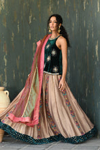 Load image into Gallery viewer, Velvet lengha choli