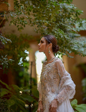 Load image into Gallery viewer, Icey shades gown (full outfit: gown, skirt and dupatta)